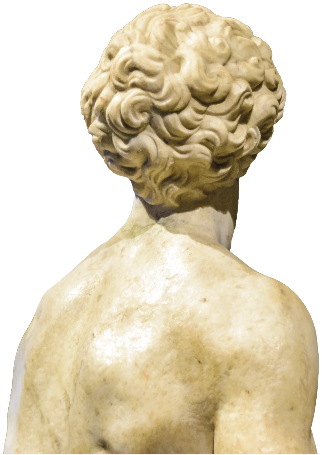 Classical Statue Bust
